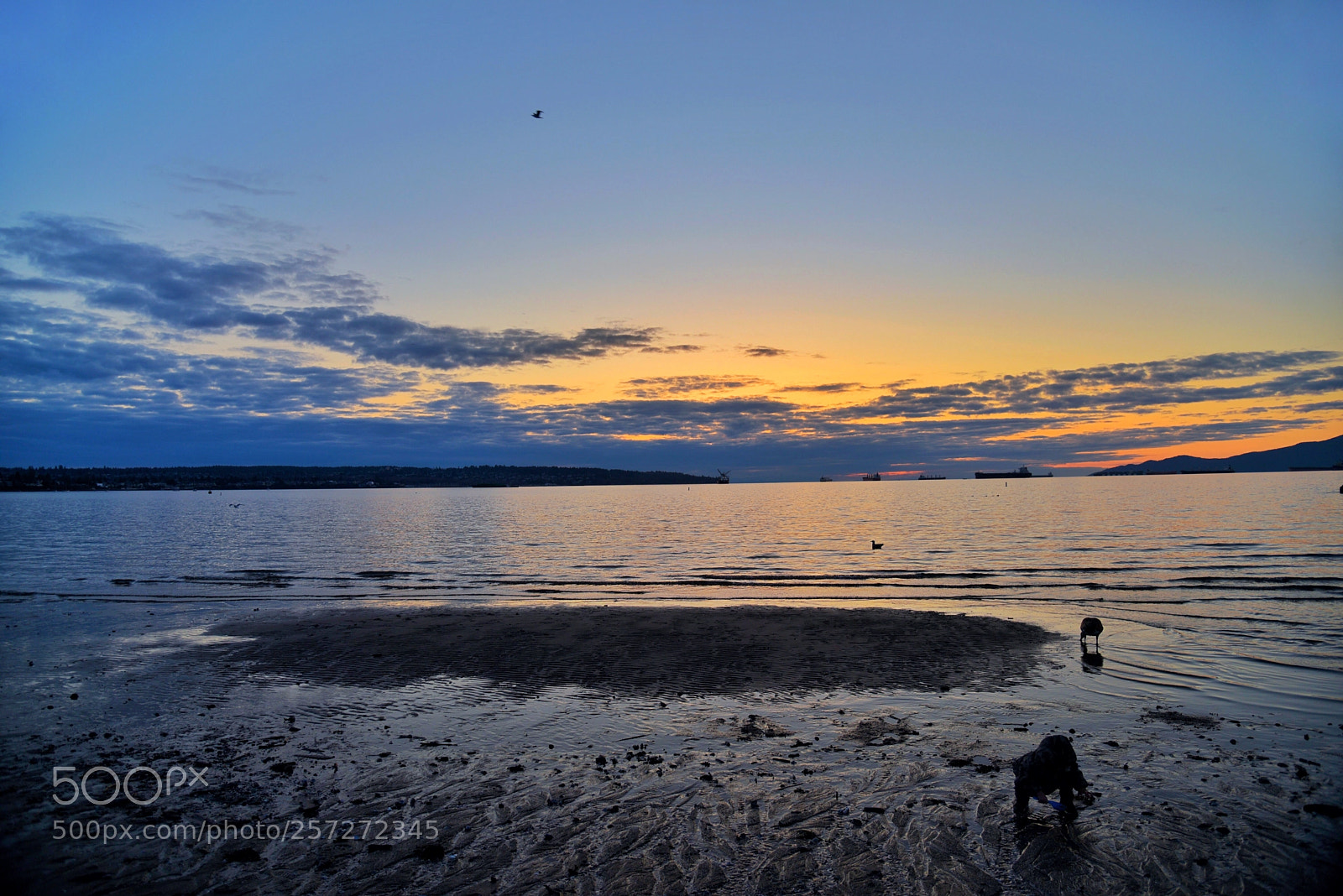 Nikon D750 sample photo. Peaceful seaside photography