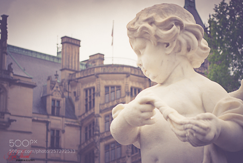 Nikon D3200 sample photo. Biltmore estates photography