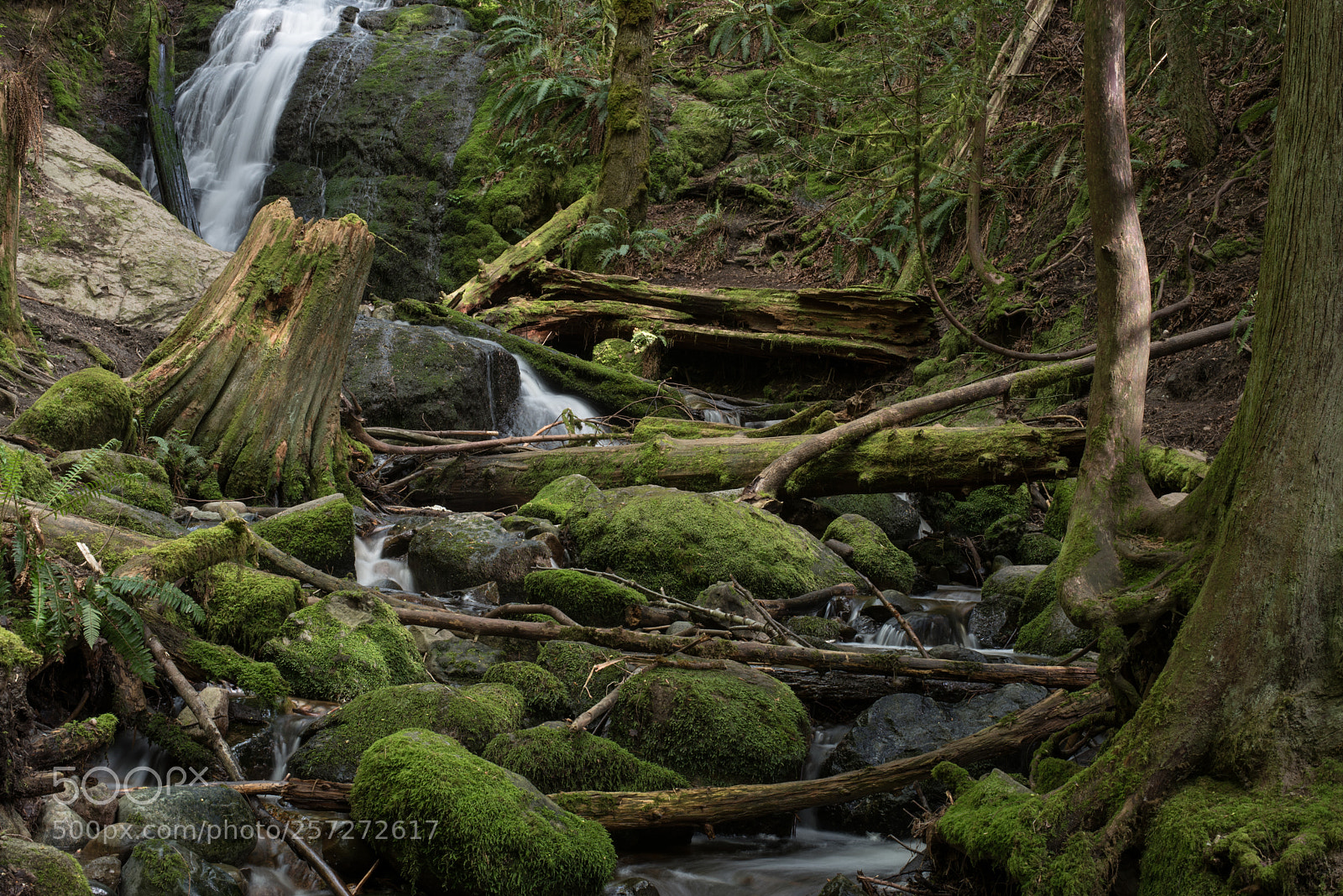 Nikon D750 sample photo. Pnw waterfall photography