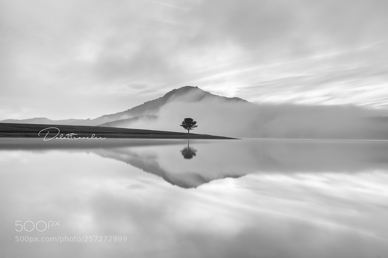 Canon EOS 5DS R sample photo. Alone in bw photography
