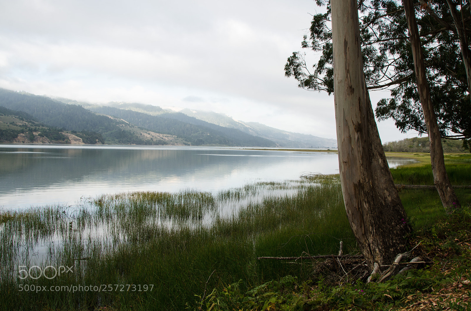 Nikon D7000 sample photo. Bolinas lagoon photography