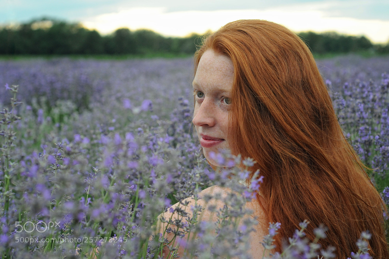 Nikon D300 sample photo. Melitag 02 photography
