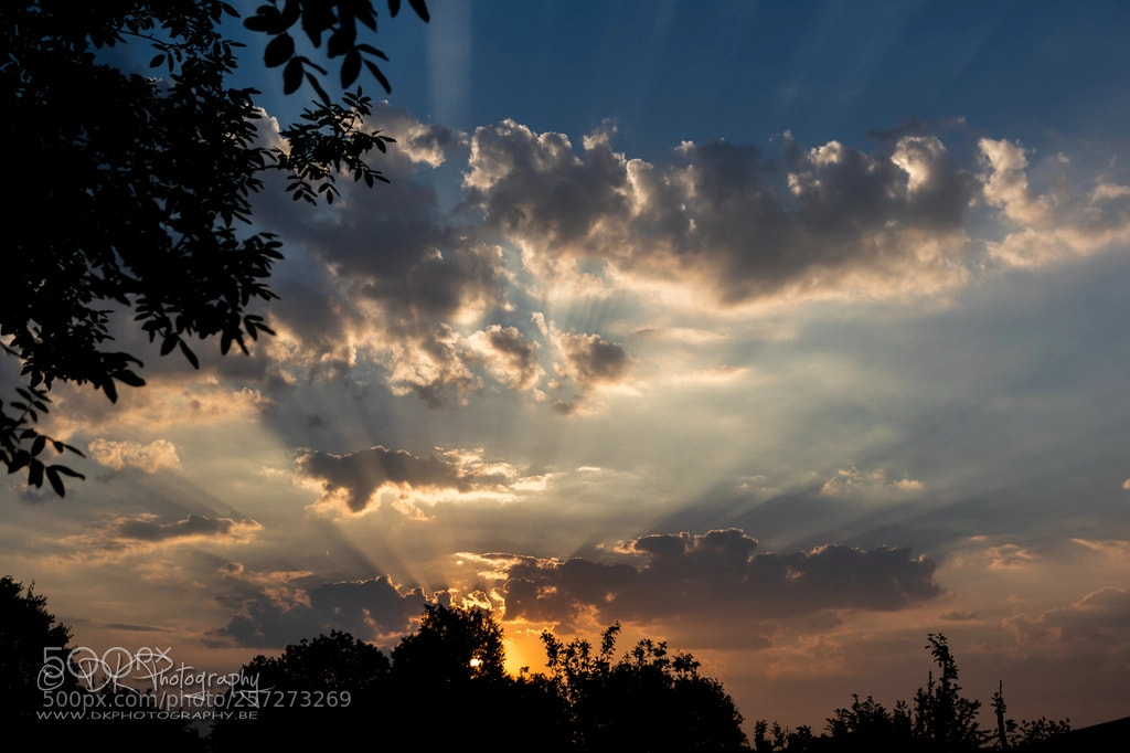 Canon EOS-1D X Mark II sample photo. L photography