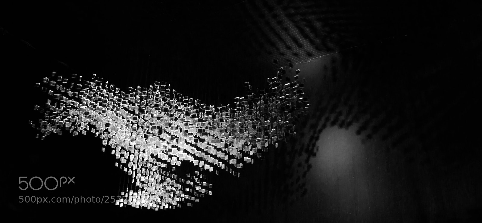 Nikon D3100 sample photo. Light show photography