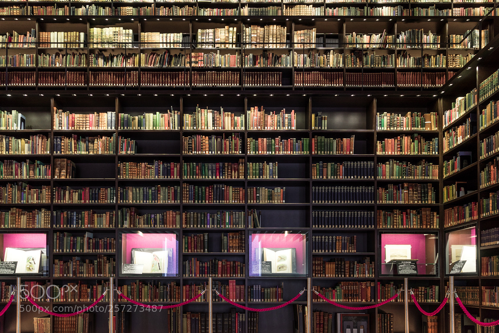 Sony a7 II sample photo. Books photography
