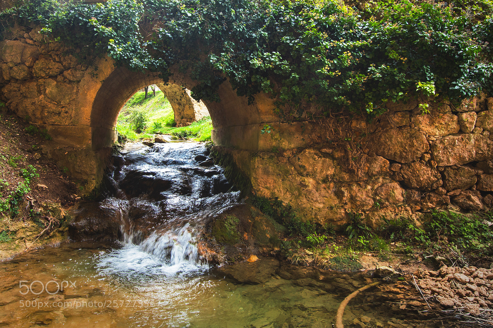 Canon EOS 70D sample photo. El arroyo photography
