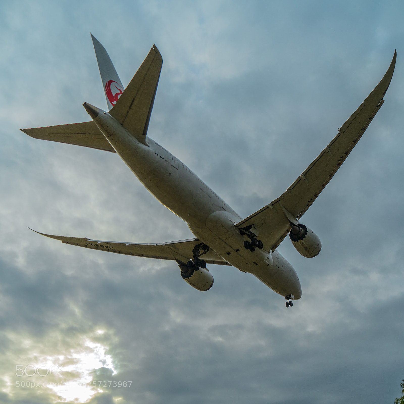 Sony a7 II sample photo. B787 photography