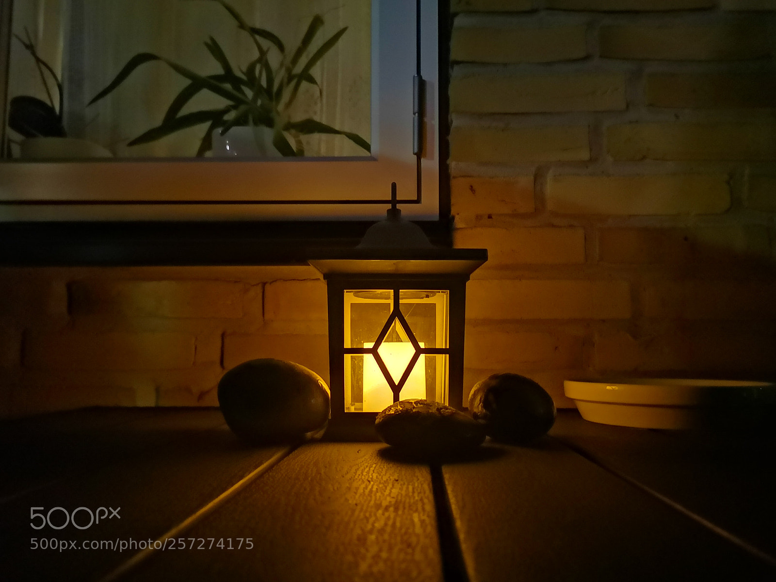 HUAWEI CLT-L29 sample photo. Untitled photography