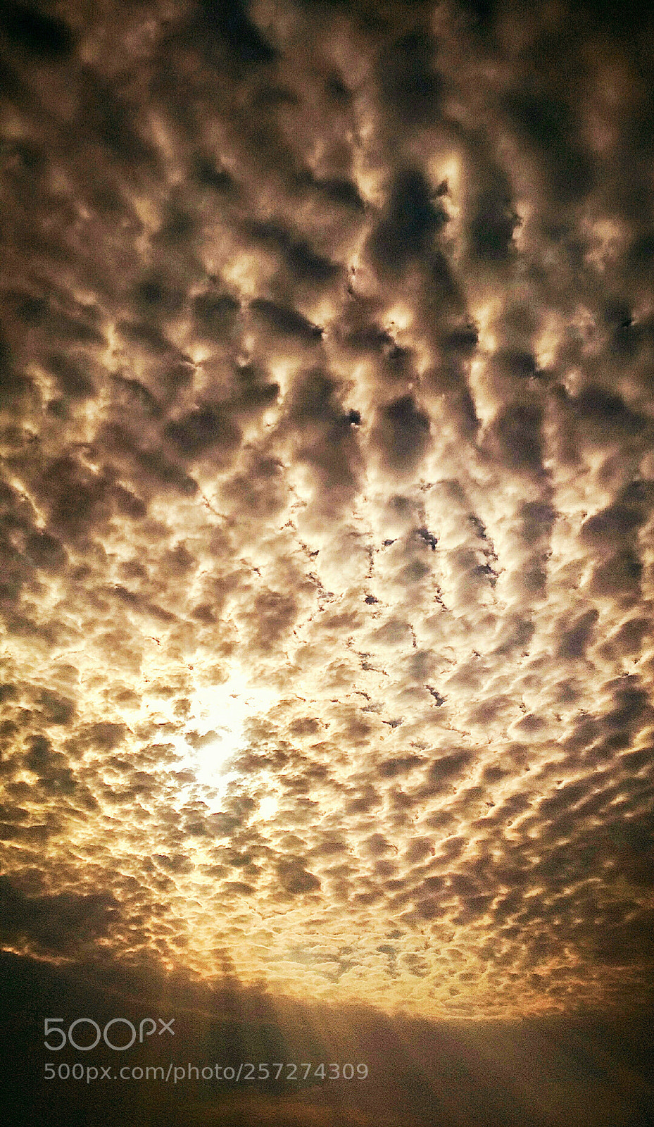 Xiaomi Redmi 4 Pro sample photo. Clouds speaks photography