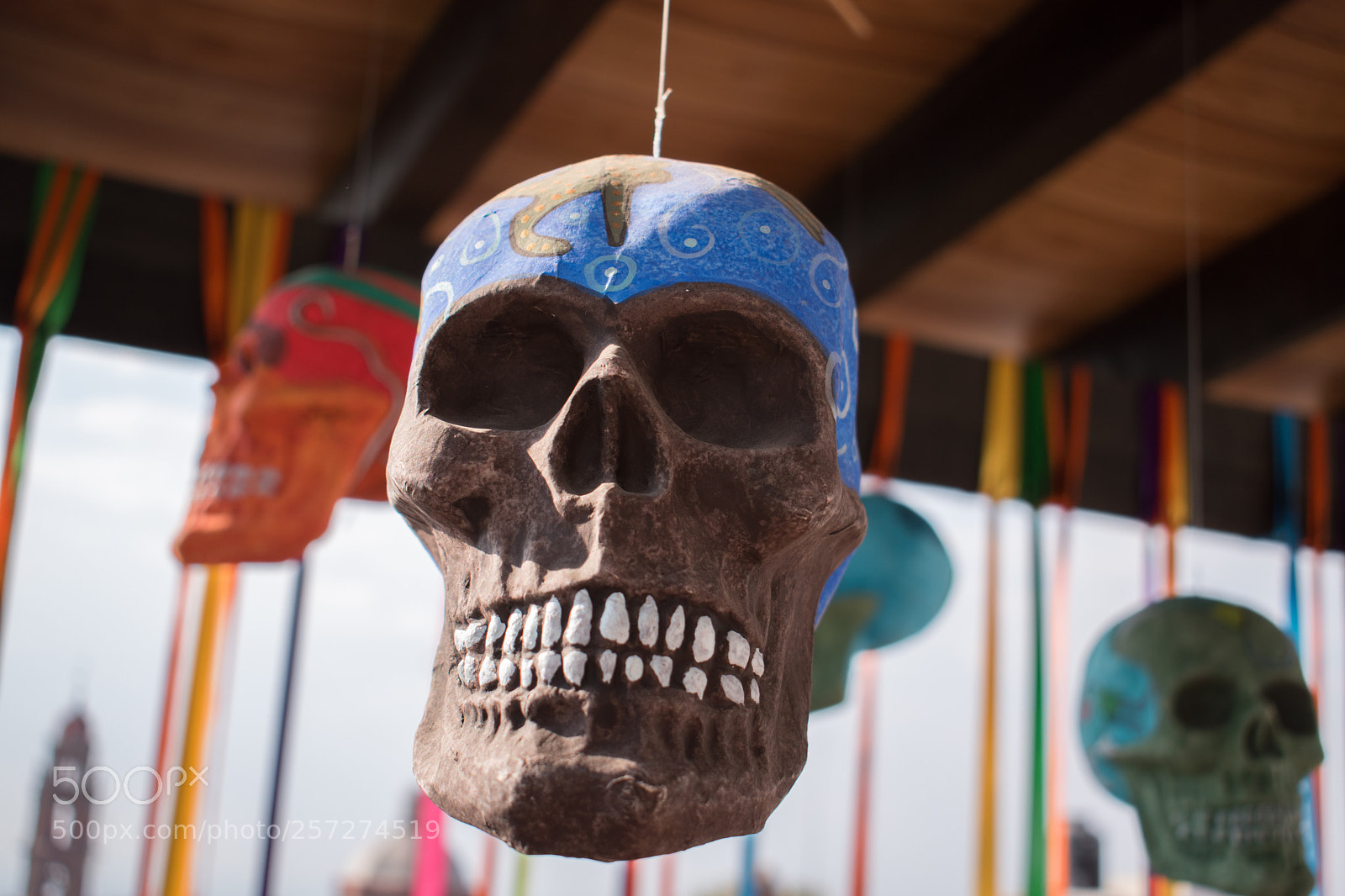 Nikon D5600 sample photo. Colors.  photography
