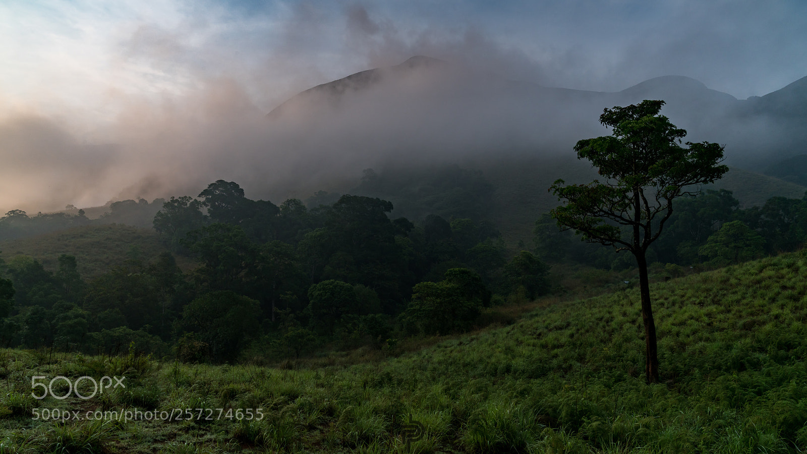 Sony a7R II sample photo. Pleasure site photography