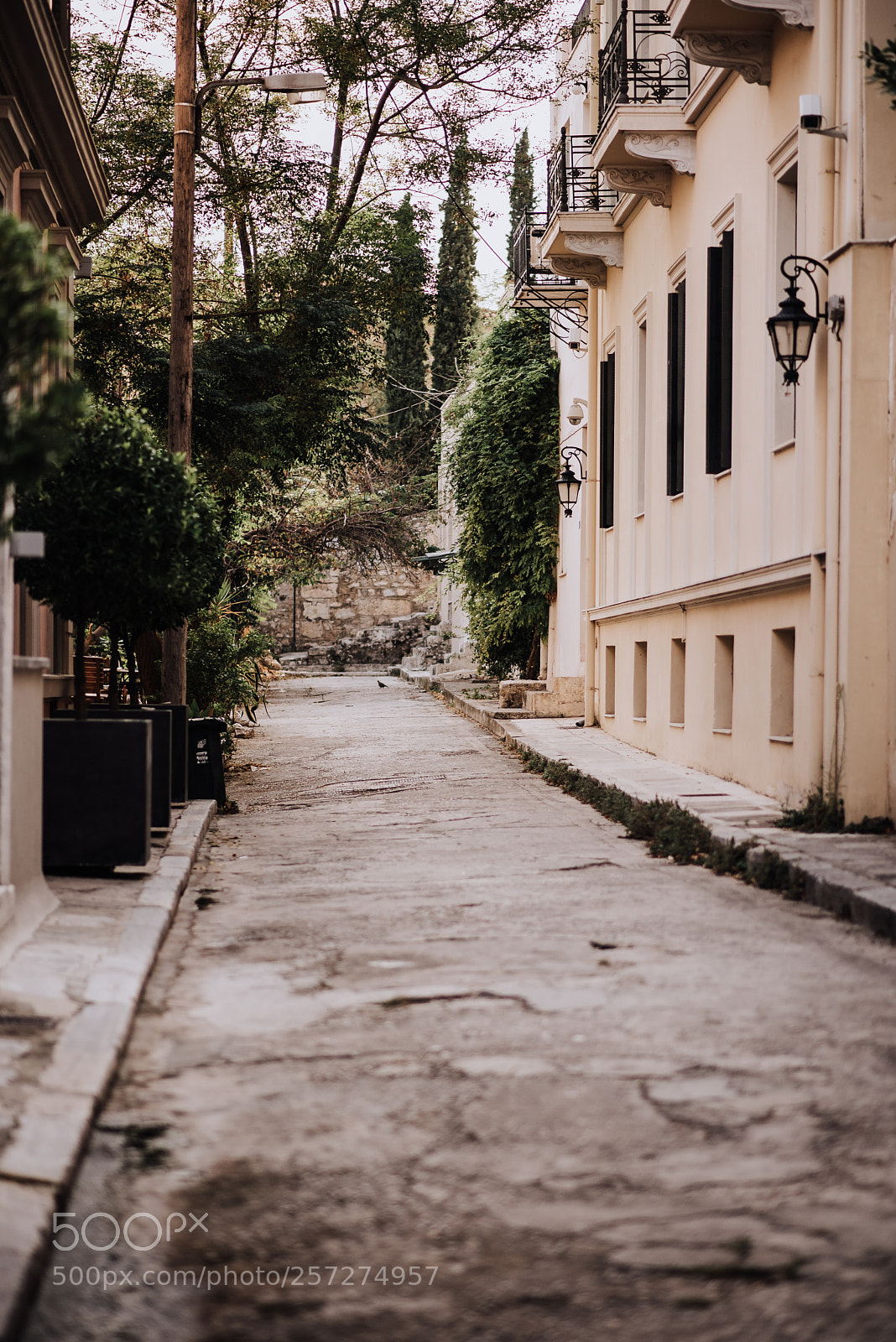 Nikon D750 sample photo. Parthenon in athens photography