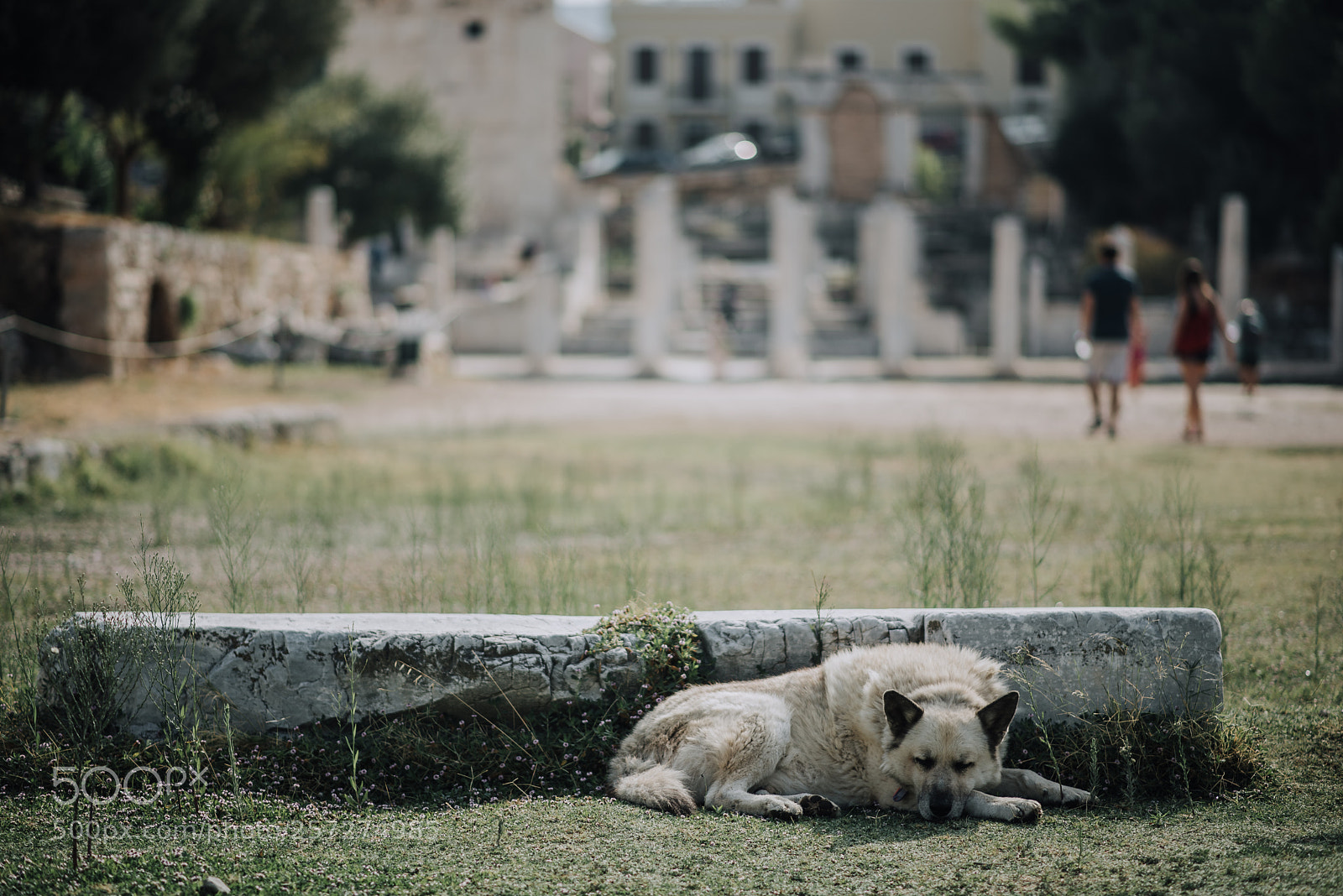 Nikon D750 sample photo. Parthenon in athens photography