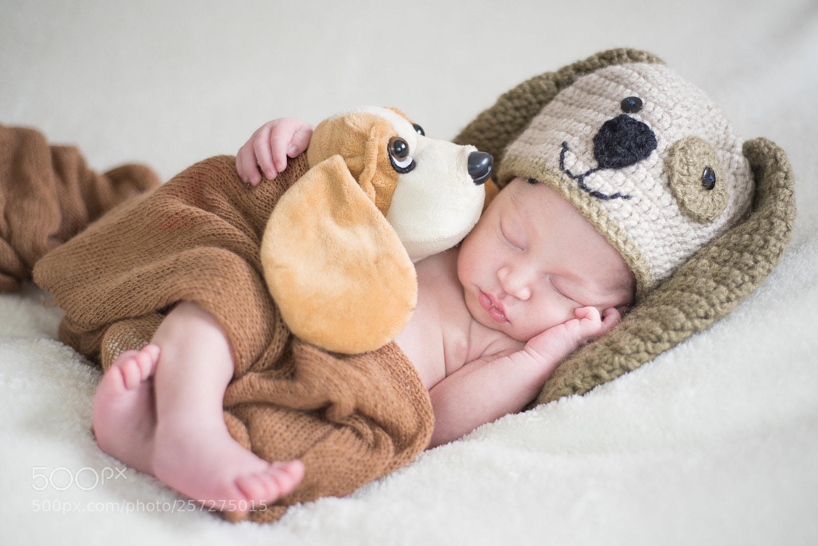Nikon D750 sample photo. Baby dog photography