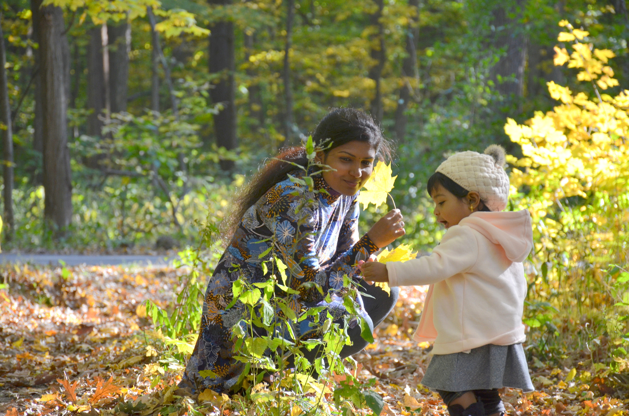 Nikon D7000 sample photo. Copy photography