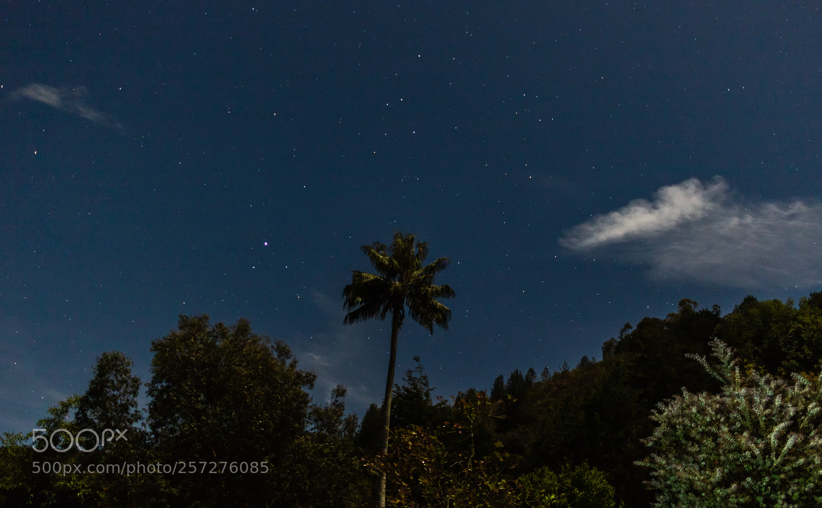 Canon EOS 750D (EOS Rebel T6i / EOS Kiss X8i) sample photo. Look into the stars photography