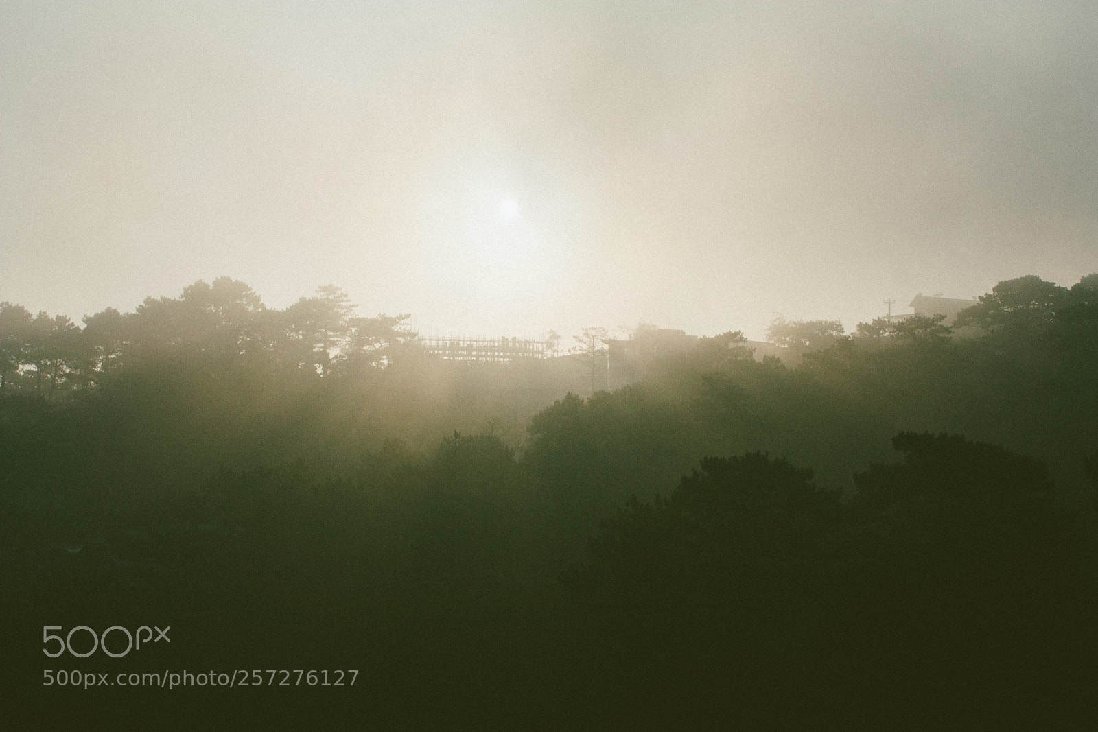 Canon EOS 450D (EOS Rebel XSi / EOS Kiss X2) sample photo. “sunrise through the fog” photography