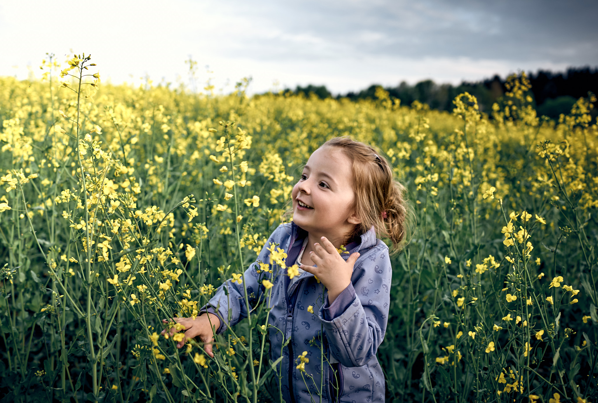 Sony Cyber-shot DSC-RX1R II sample photo. Rapeseed rhapsody. photography
