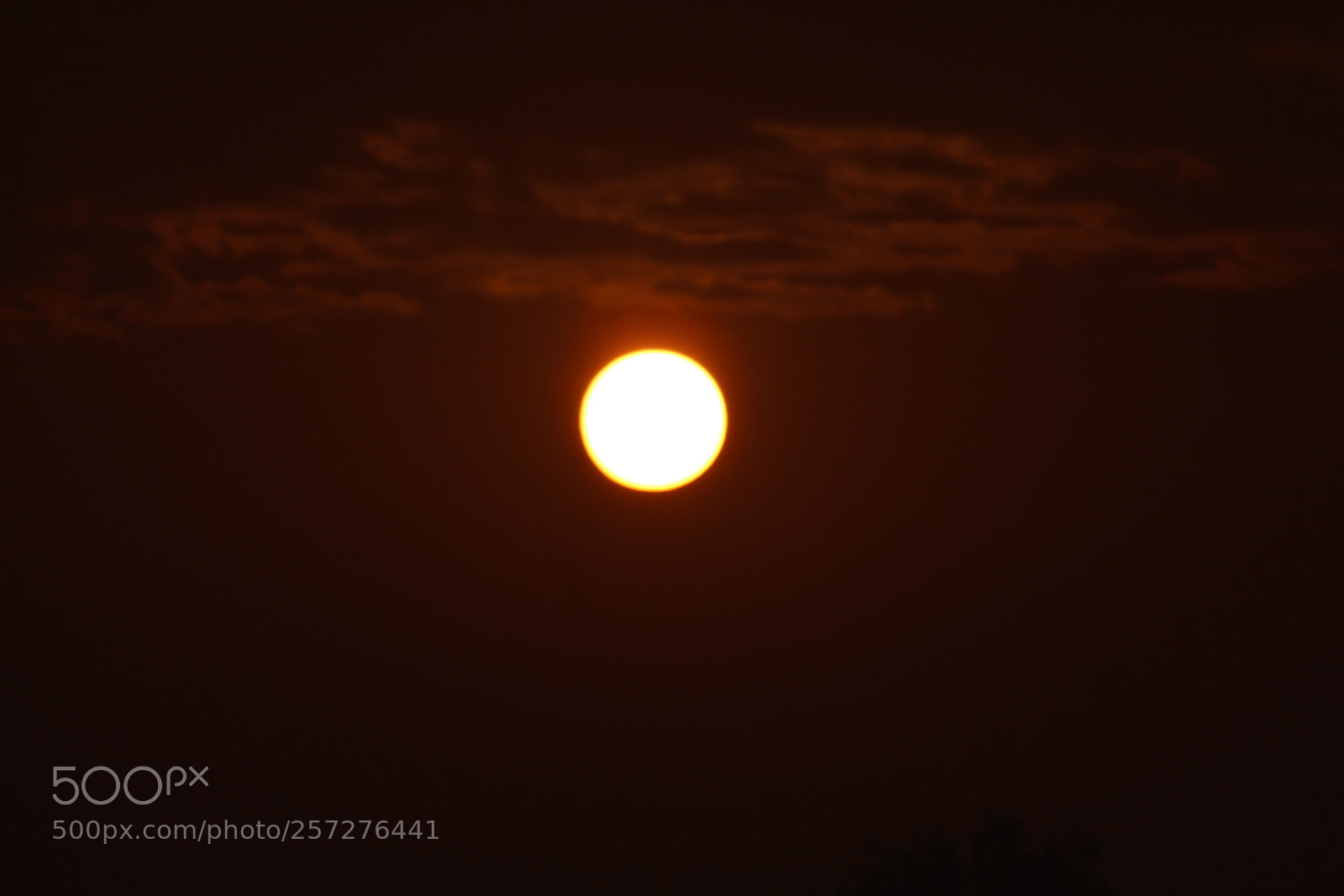 Canon EF-S 55-250mm F4-5.6 IS II sample photo. Sunrise photography