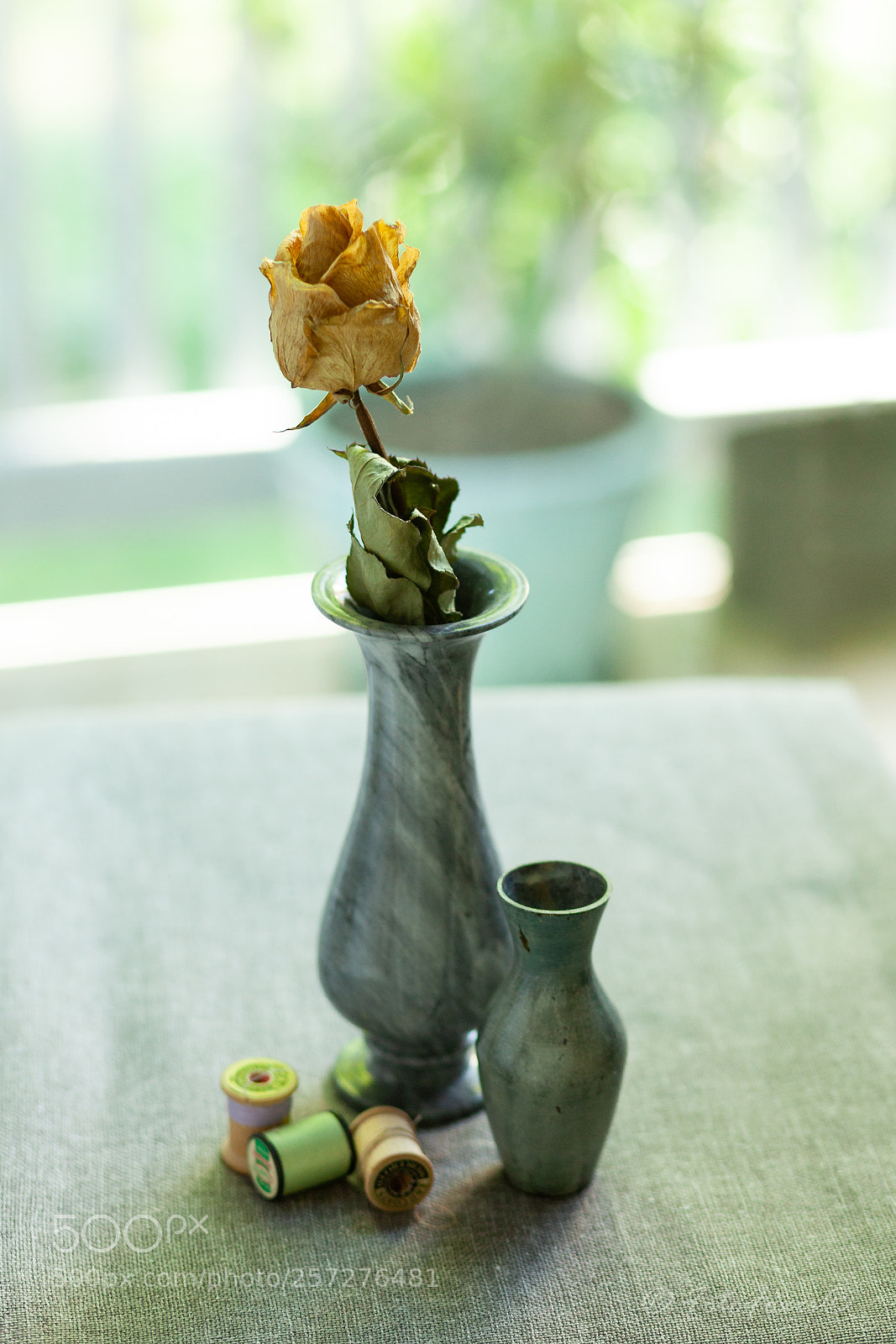 Canon EOS 5D Mark II sample photo. Mg photography