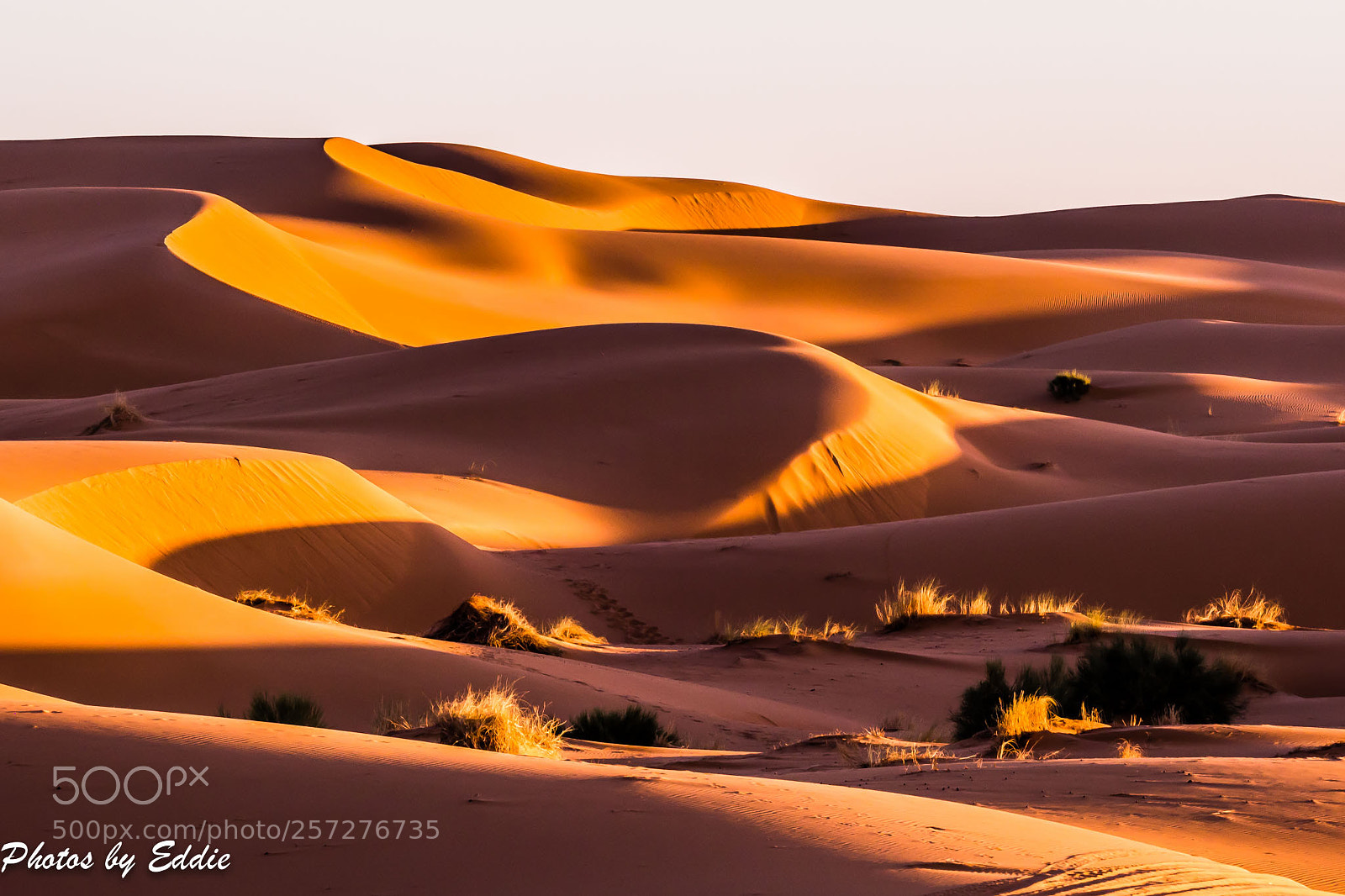 Olympus OM-D E-M1 Mark II sample photo. Dunes photography