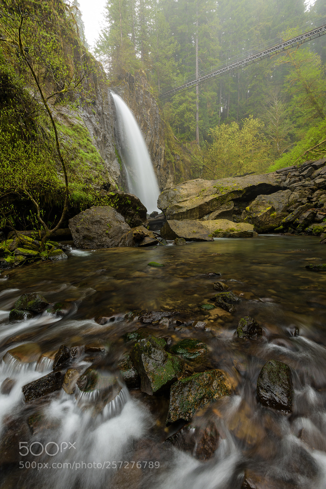 Nikon D810 sample photo. Drift creek falls iii photography