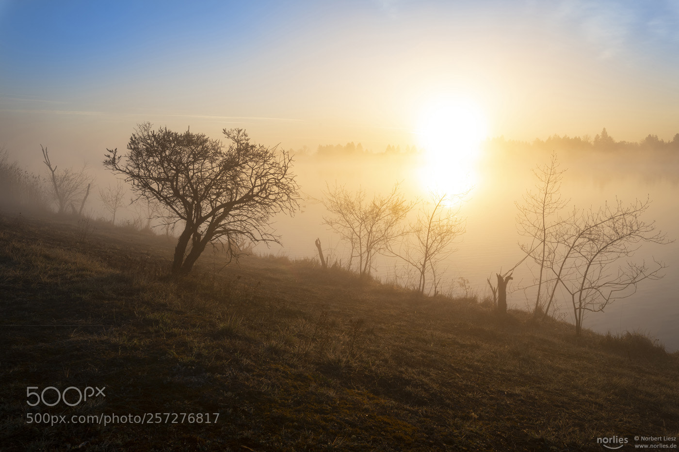 Nikon D850 sample photo. Morning mood photography