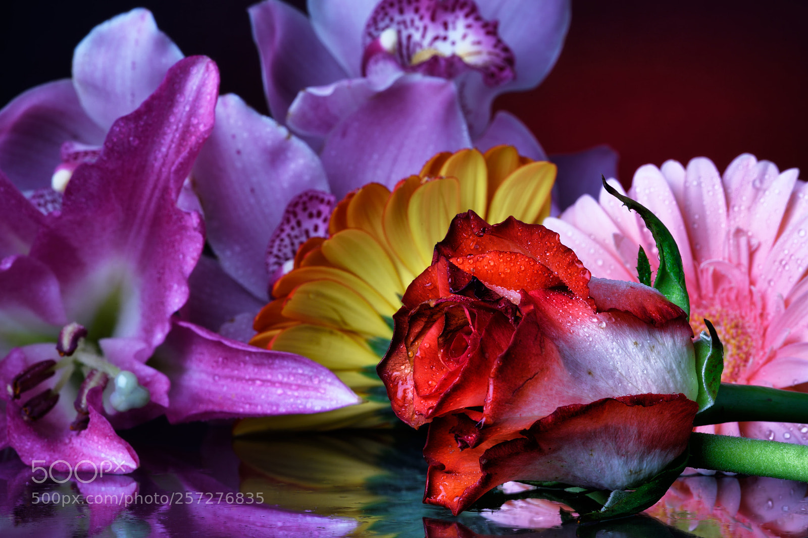 Nikon D810 sample photo. Lovely still life cci photography