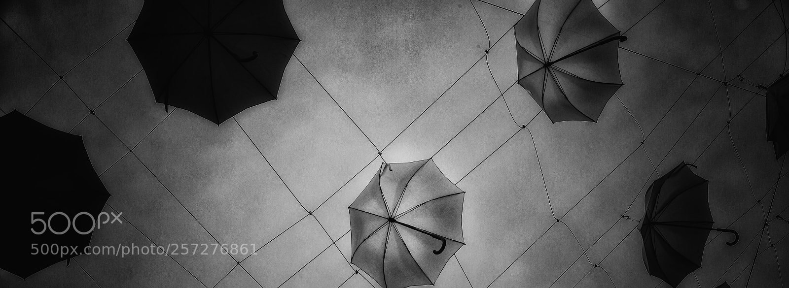 Leica M (Typ 240) sample photo. Looking for the poppins photography