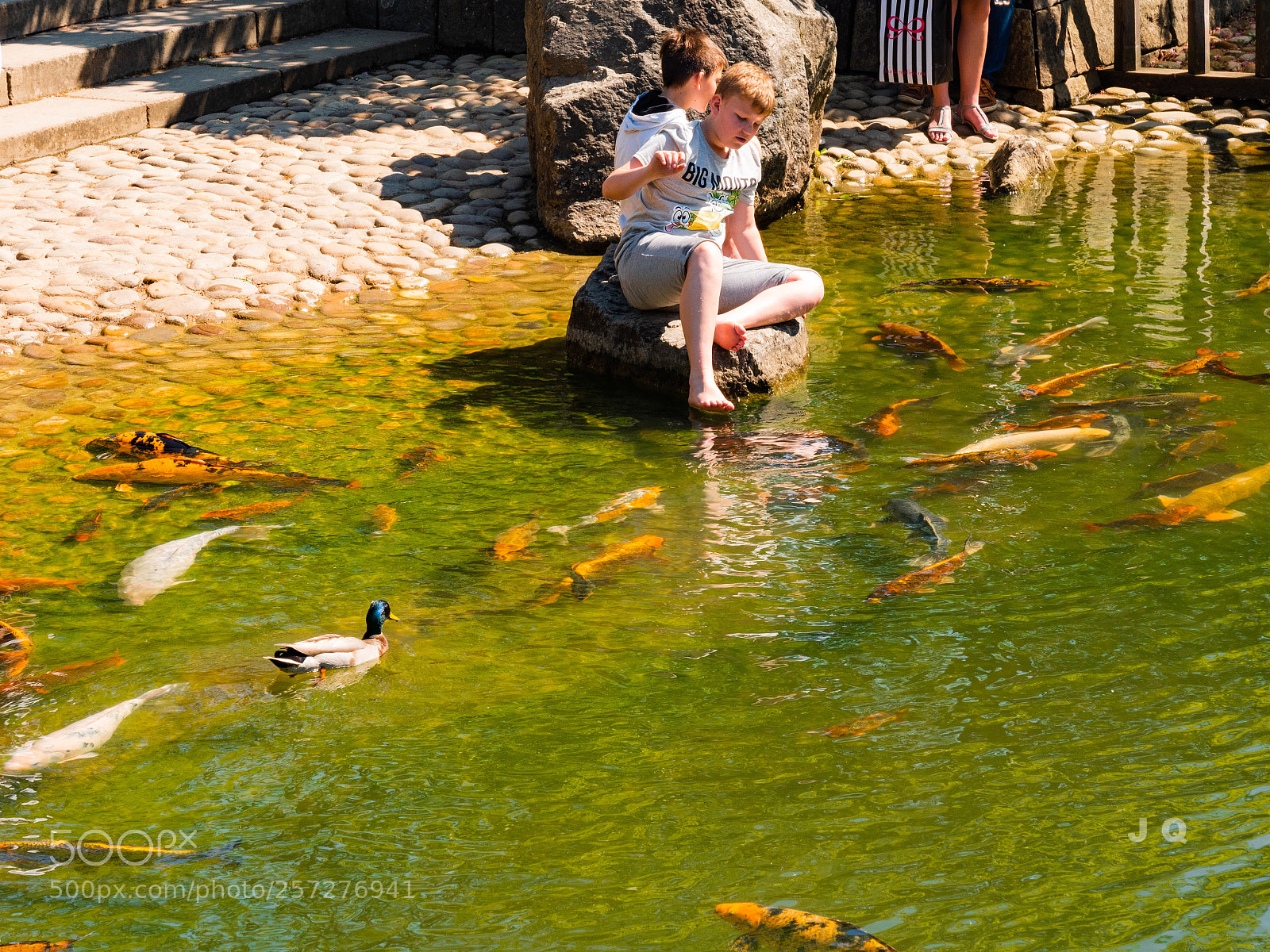 Panasonic Lumix DC-G9 sample photo. Fish pedicure ? photography