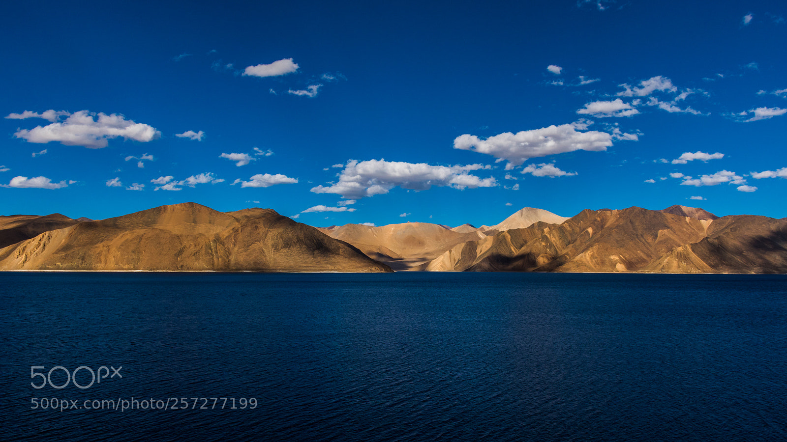Nikon D5600 sample photo. Pangong lake , leh photography