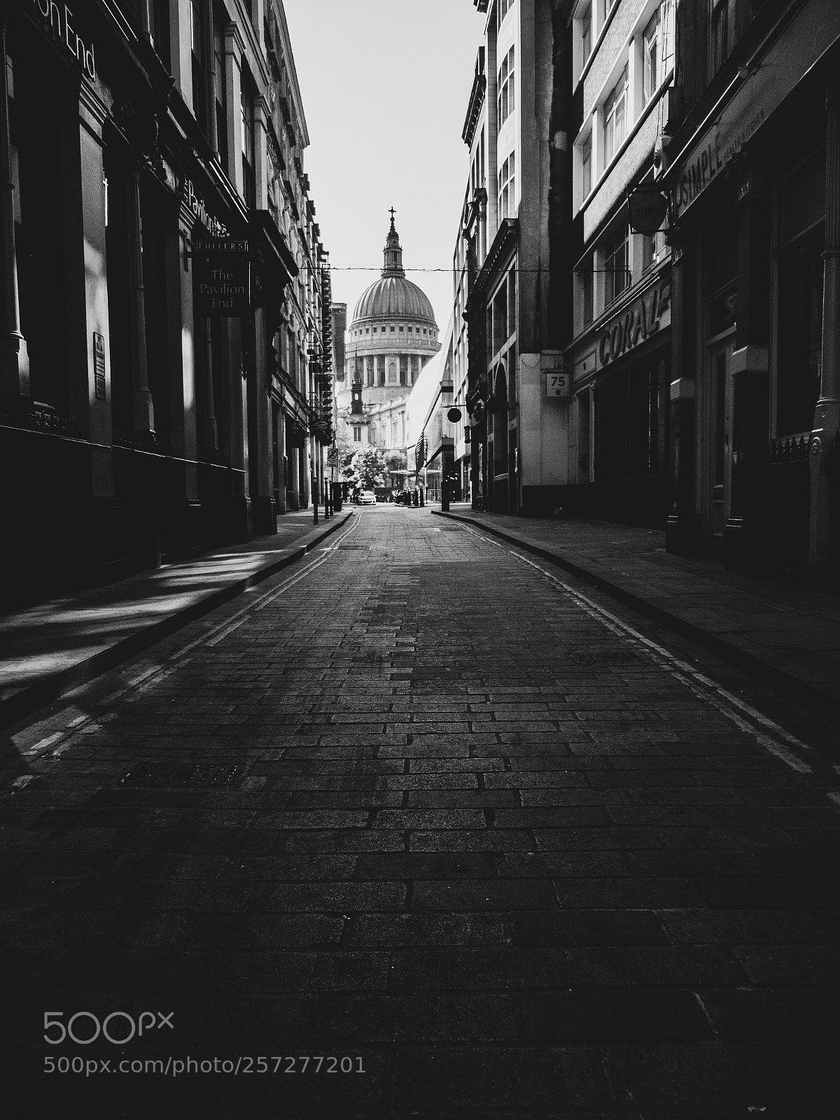 Panasonic Lumix DC-GH5 sample photo. A desolate st paul photography