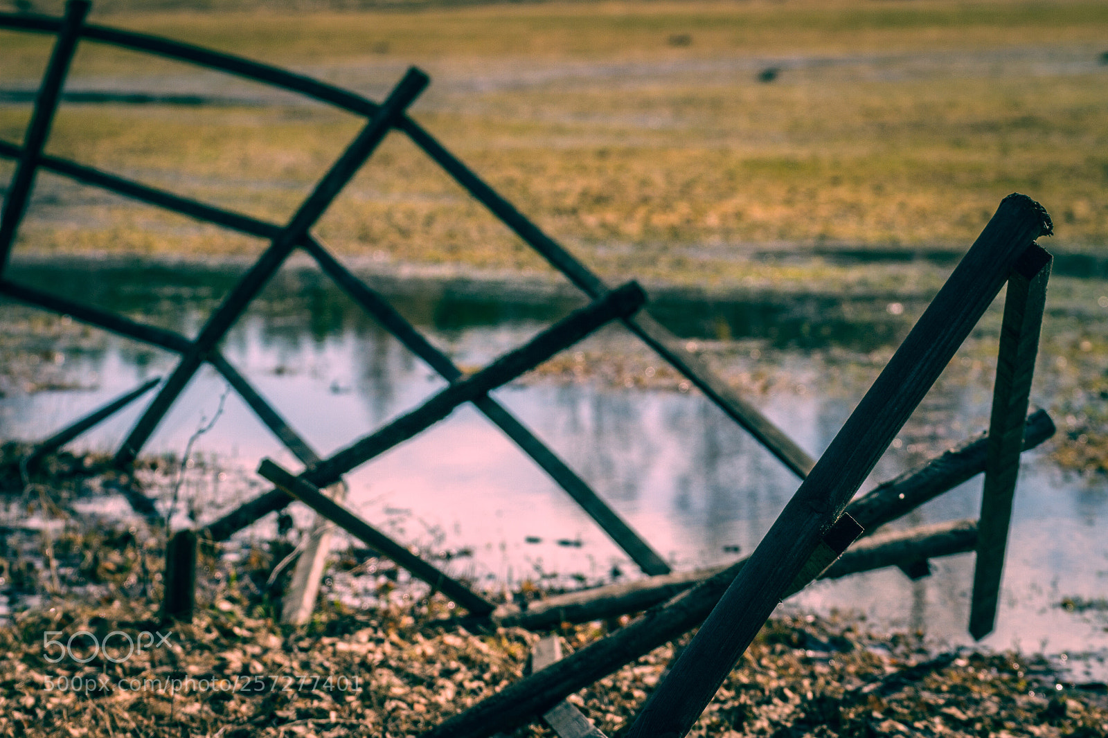 Canon EOS 7D sample photo. Break free photography