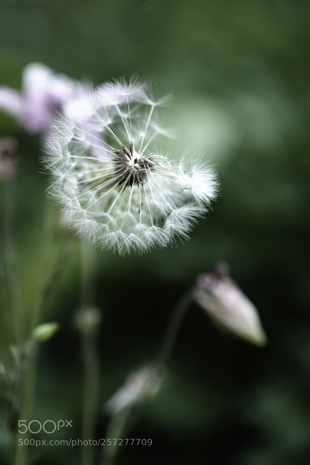 Nikon D3 sample photo. Simpel serie photography