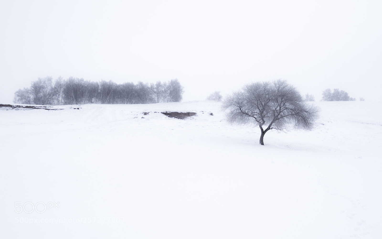 Olympus OM-D E-M10 sample photo. 水墨雪域 5 photography