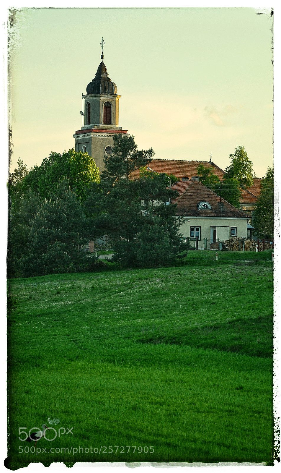 Nikon D7000 sample photo. To go or not photography