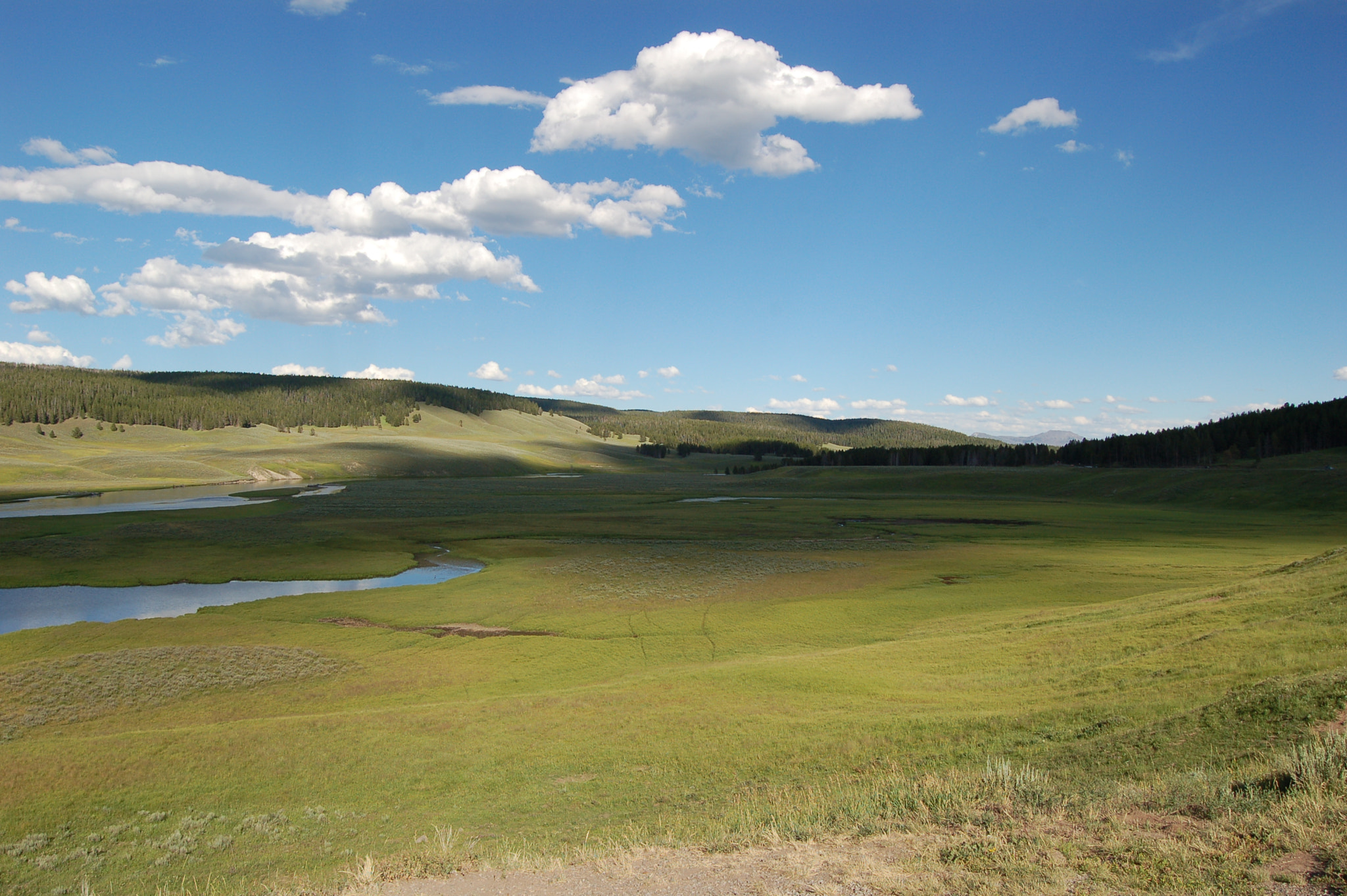 AF-S DX Zoom-Nikkor 18-55mm f/3.5-5.6G ED sample photo. Yellowstone plains photography