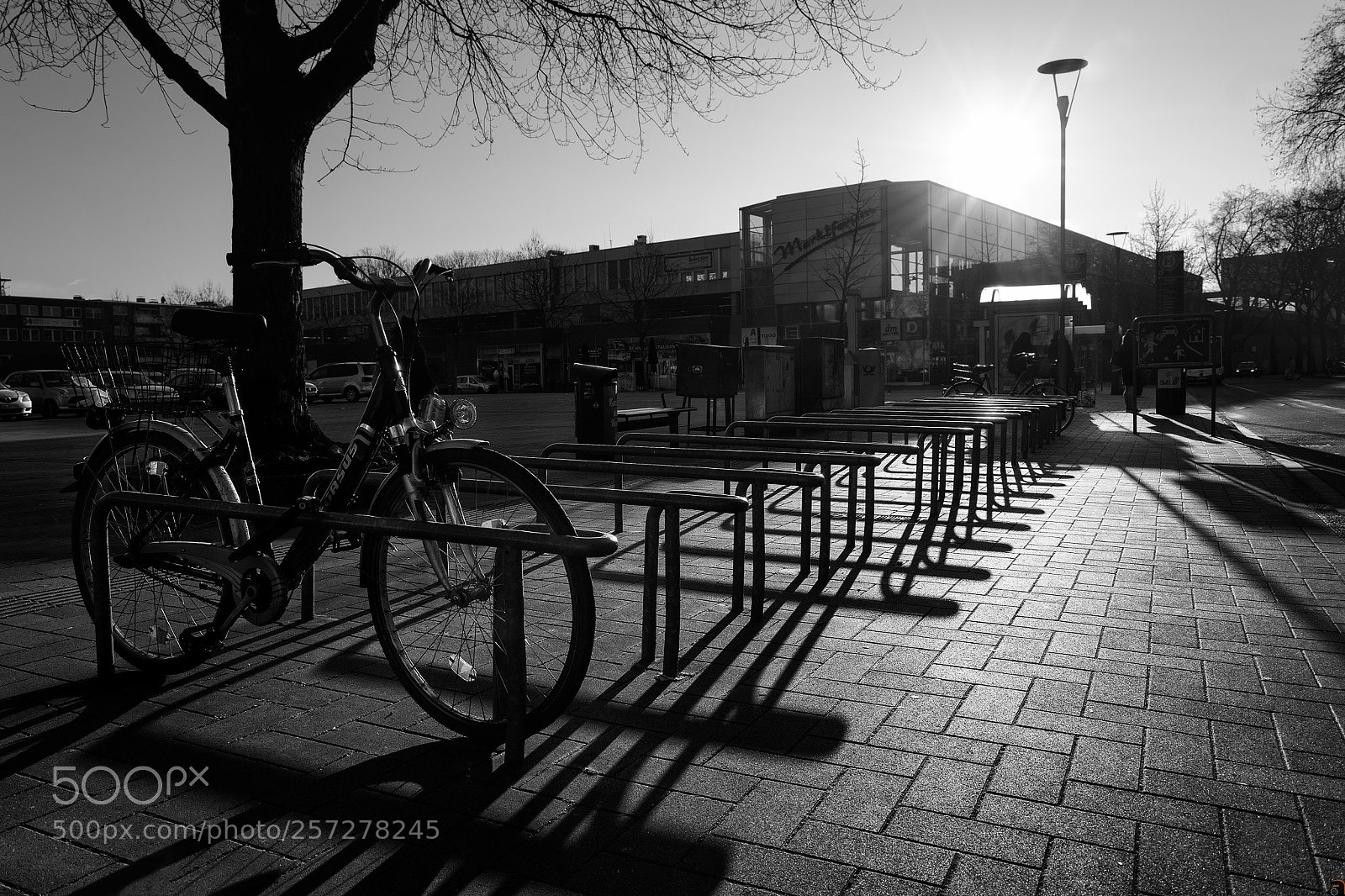 Nikon D7200 sample photo. Untitled photography
