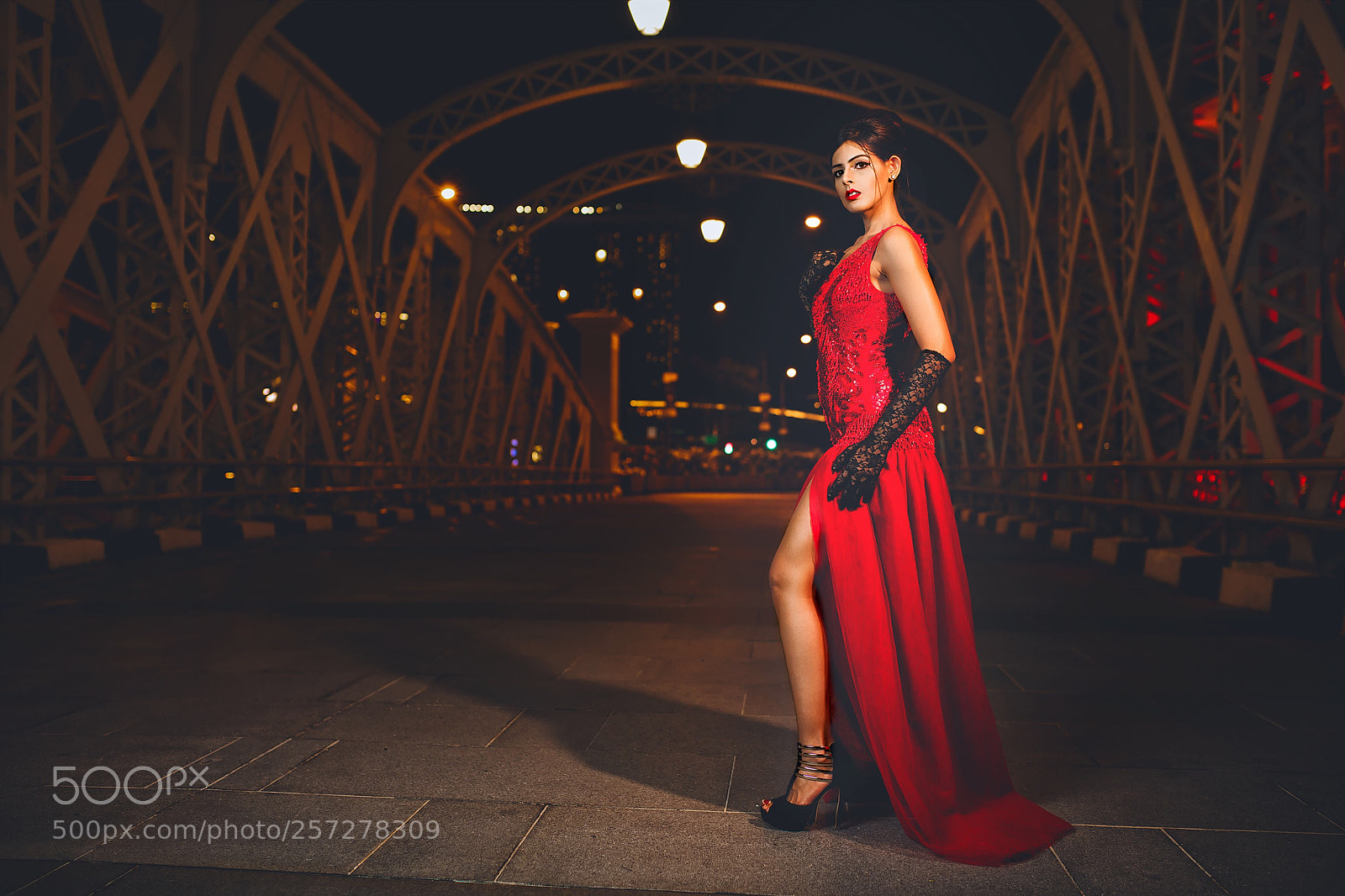 Nikon D850 sample photo. Night shoot photography