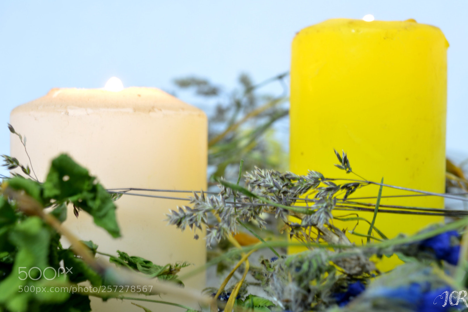 Nikon D5200 sample photo. Velas aromaticas photography