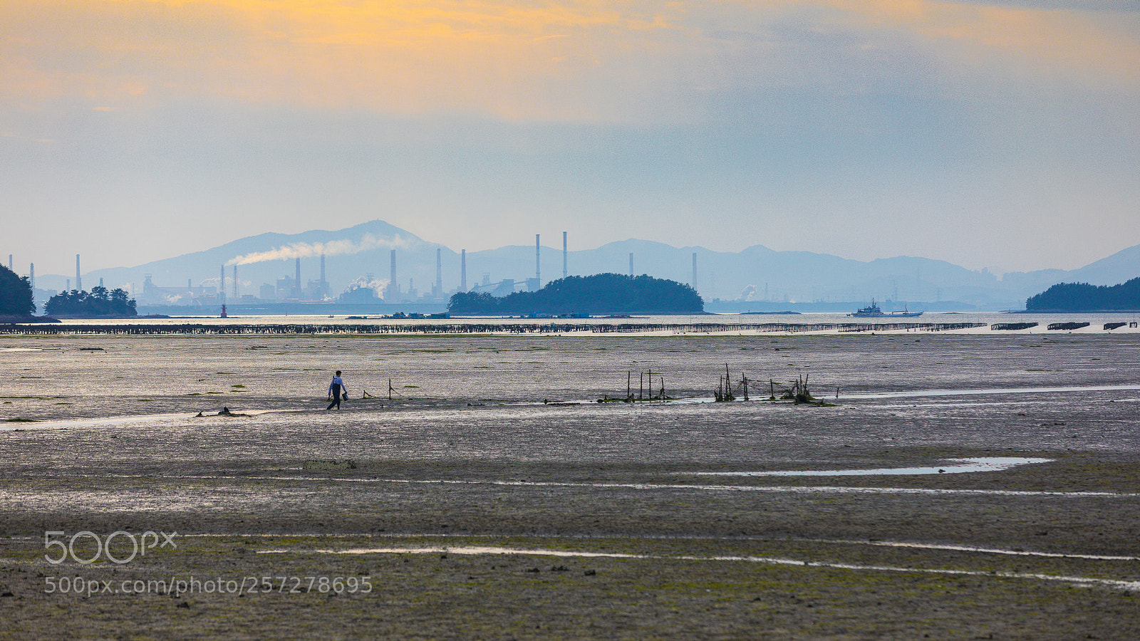 Canon EOS 5D Mark IV sample photo. 바다 및 절 photography