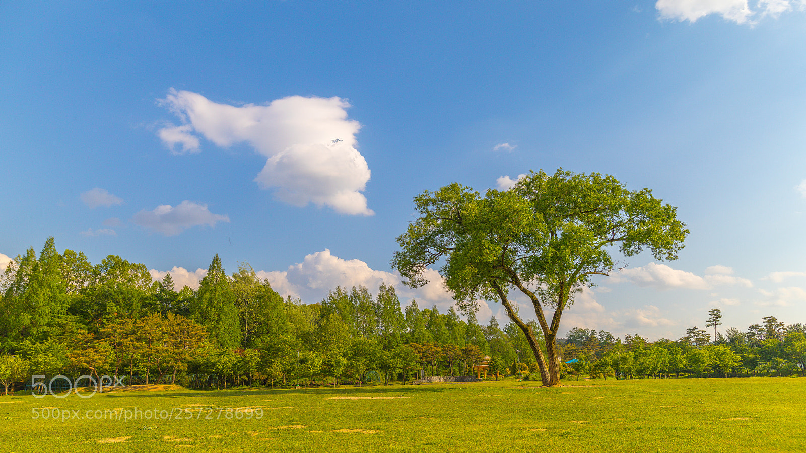 Canon EOS 5D Mark IV sample photo. 바다 및 절 photography