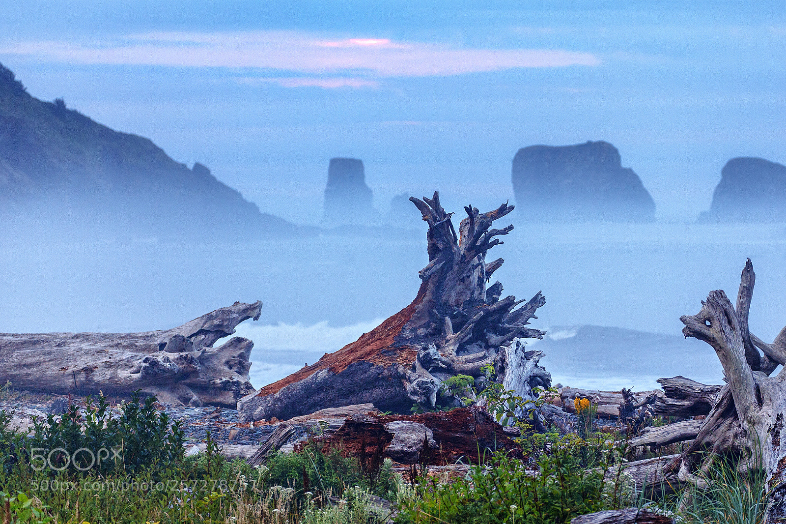 Canon EOS 5D Mark II sample photo. First beach fog photography