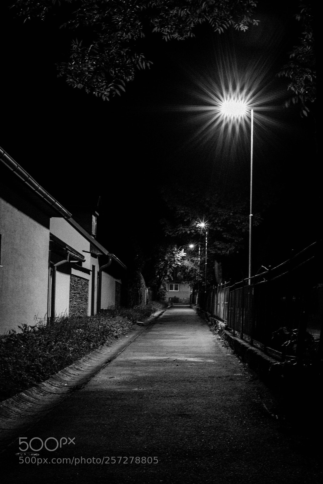 Sony a6000 sample photo. Nox et lux photography