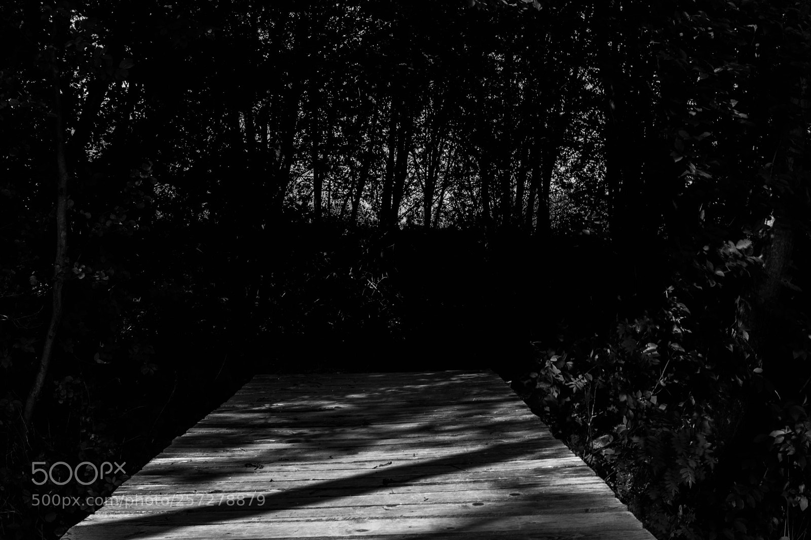 Sony a6000 sample photo. Bridge of joy photography