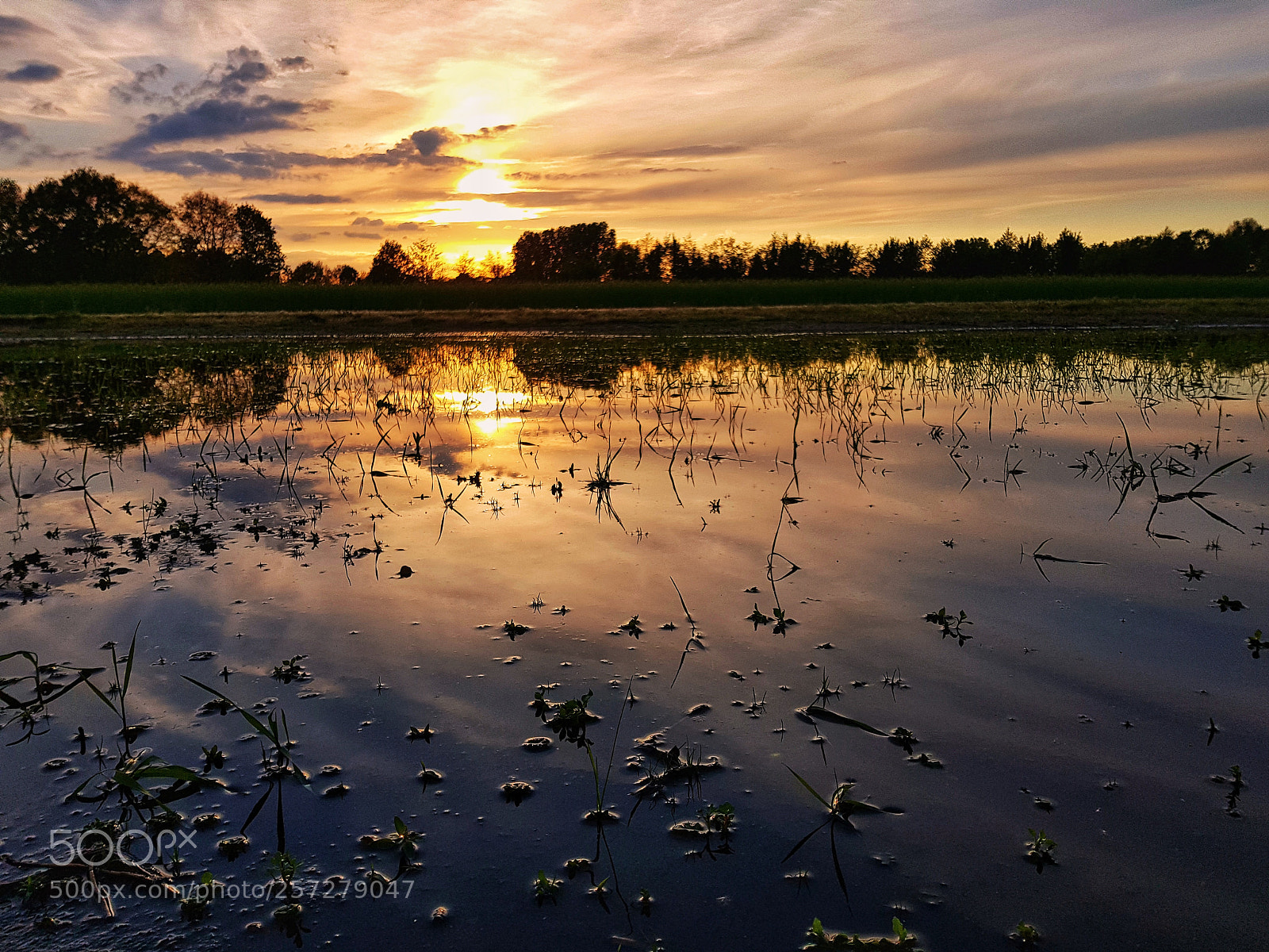 Samsung Galaxy S8 sample photo. Reflective sunset photography
