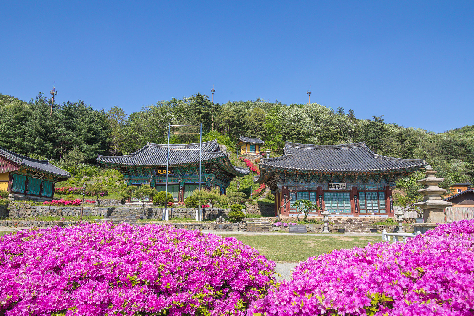 Canon EOS 5D Mark IV sample photo. 바다 및 절 photography