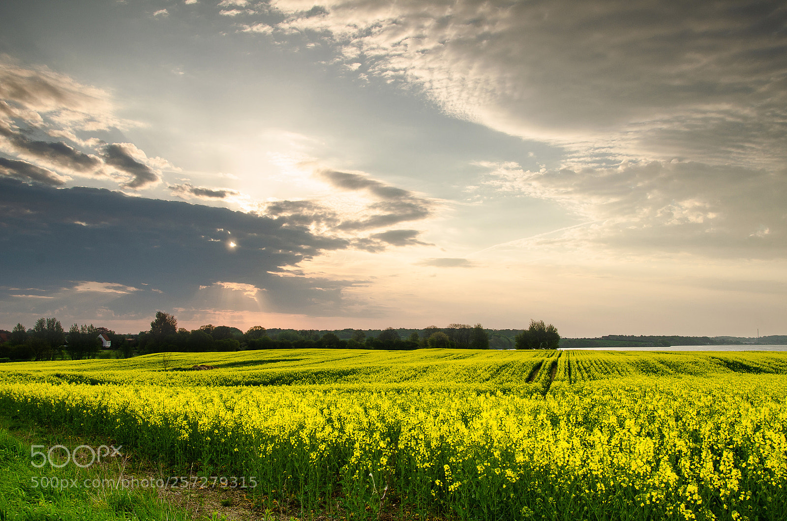 Nikon D7000 sample photo. Spring feelings photography