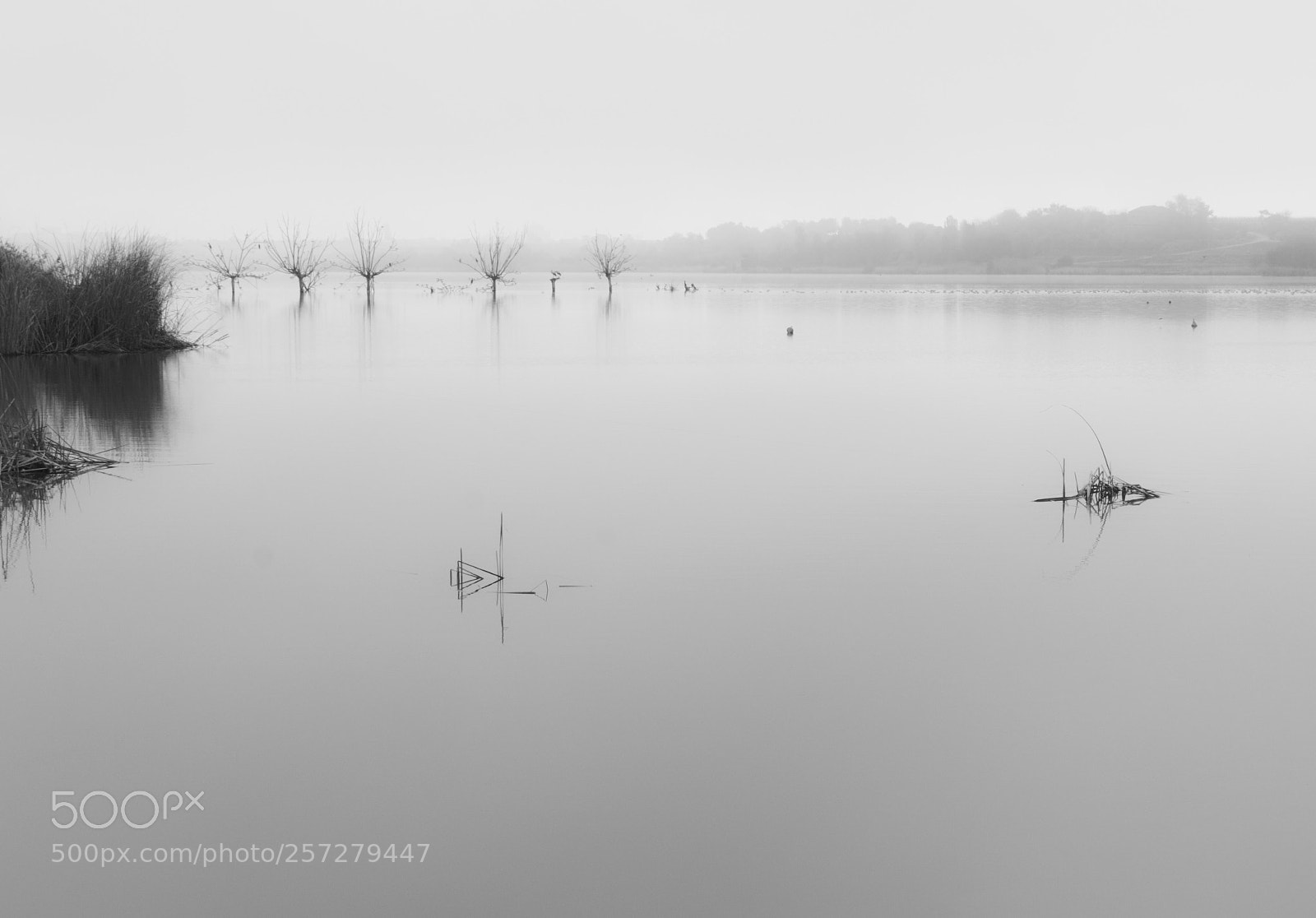 Nikon D7100 sample photo. Distances photography