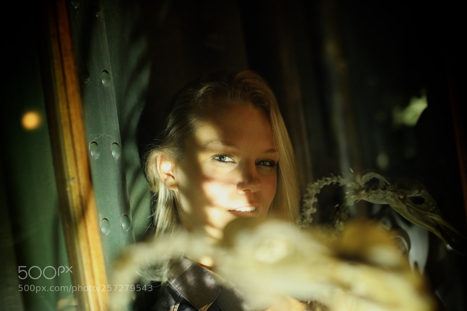 Canon EOS 5D Mark IV sample photo. Indiana photography